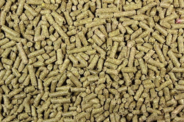 Curated visual reference: Visual Reference: Guinea Pig Pellets